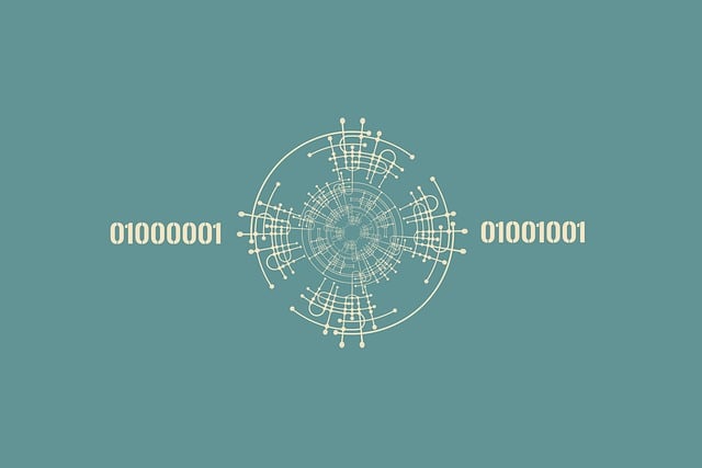 网络系统与IO模型